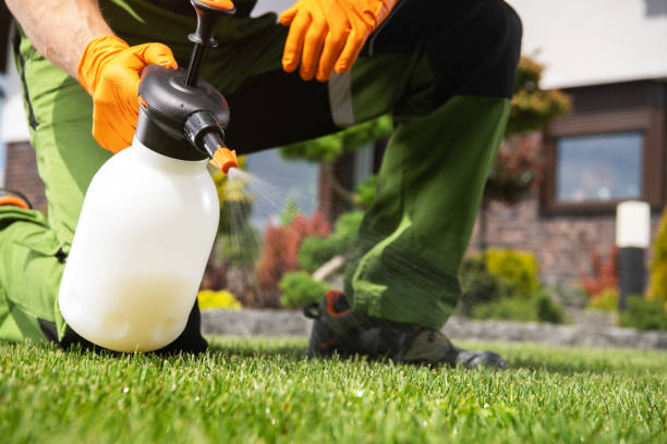 Professional Pest Control in Goose Creek Village, VA